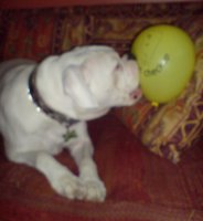 Max with balloon