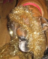 Ali with tinsel