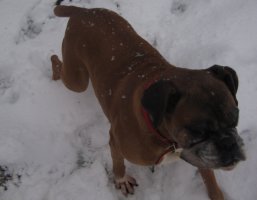 Ali in the snow